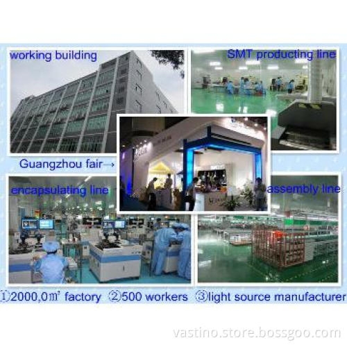 IP65 40watt led floodlight with Samsung led and Meanwell Driver